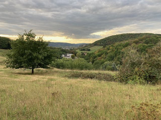 Arienheller